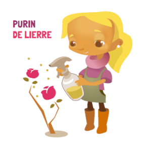 Purin de lierre
